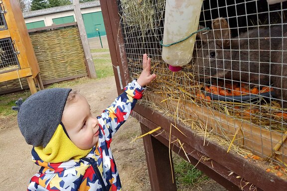 Die „Osterhäschen“ wurden freudig begrüßt
