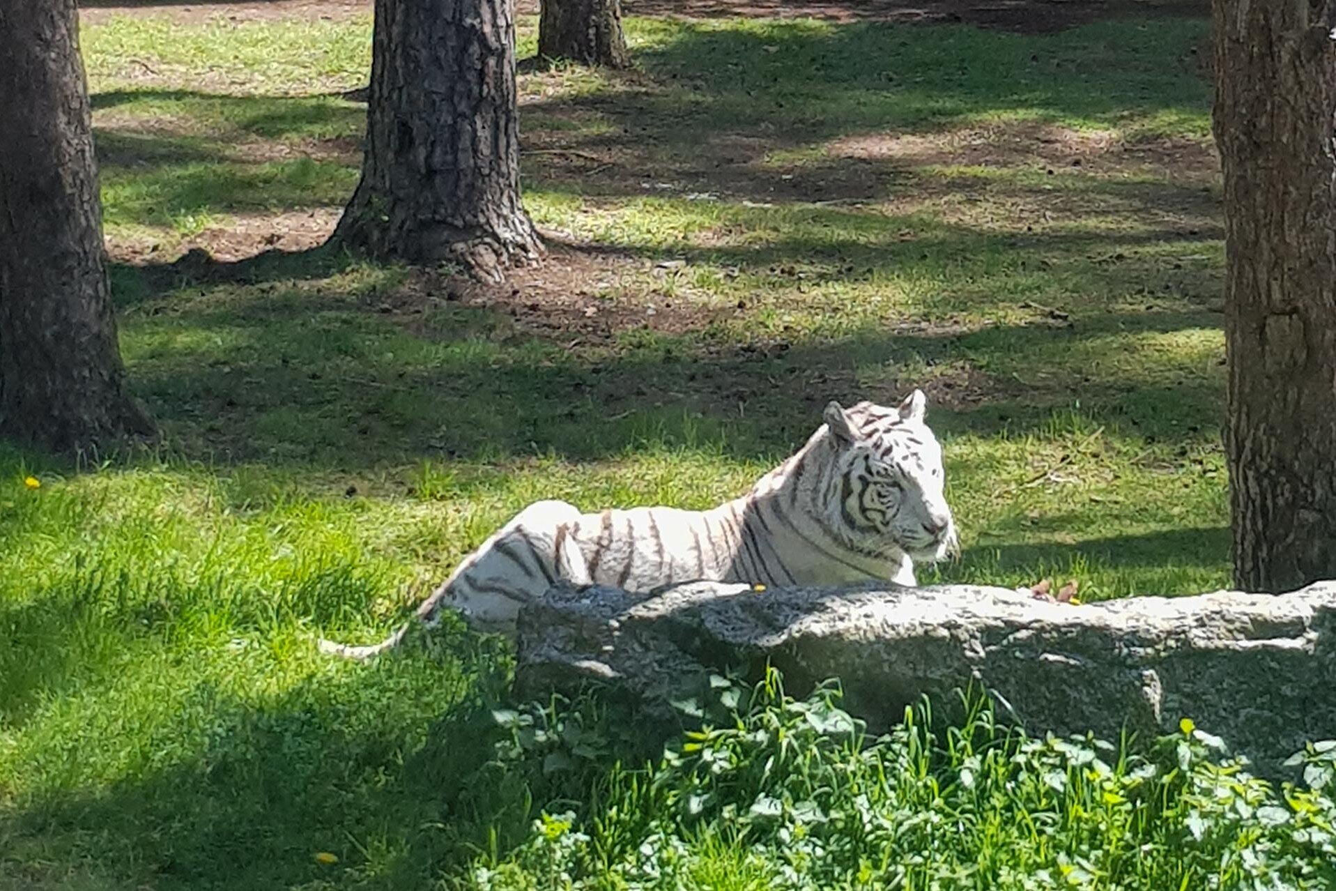Impressionen aus dem Serengeti-Park