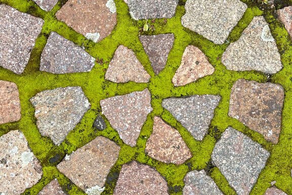 Impressionen Fotoprojekt