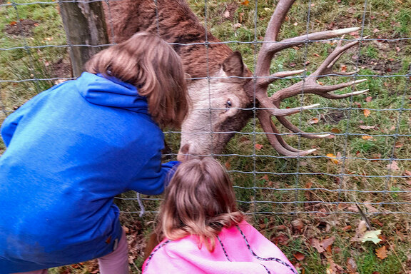 Im Wildpark konnten die Kinder die Tiere hautnah erleben