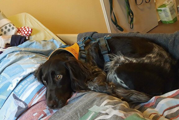 Auch Ruheübungen gehören zum Training