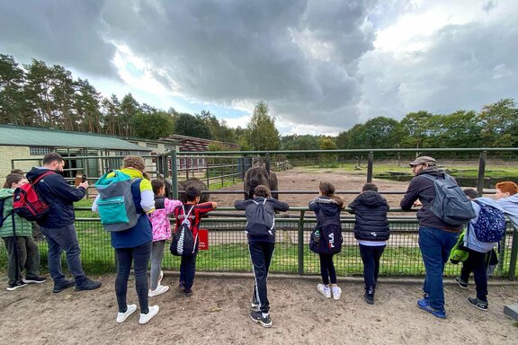 Impressionen aus dem Serengeti-Park