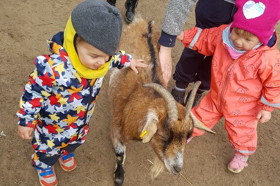 Das Streicheln der Tiere war ein Highlight