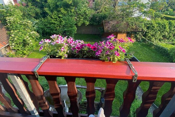 Auch den Balkon zieren bunte Pflanzen Auch den Balkon zieren bunte Pflanzen