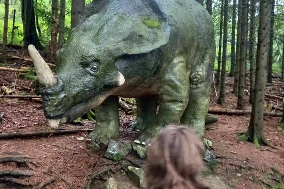 Freizeit WG Overberg