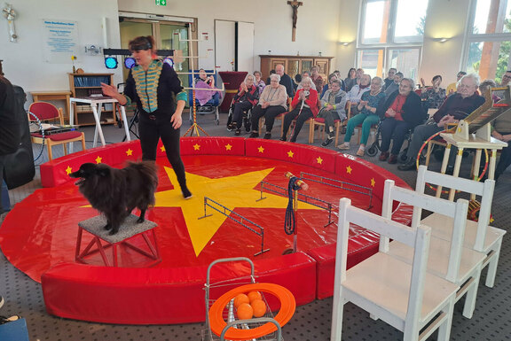 Clownereien und Zirkusspaß