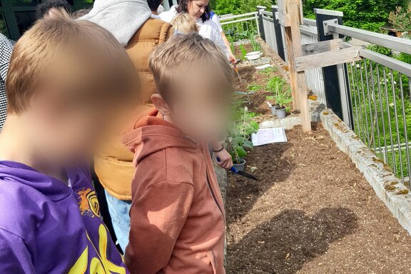 Gefördertes Projekt: An der Tiele-Winckler-Schule wird mit der "Gemüse-Ackerdemie" Gemüse angebaut