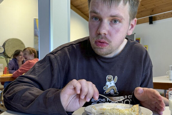 Käsekuchenwettbewerb