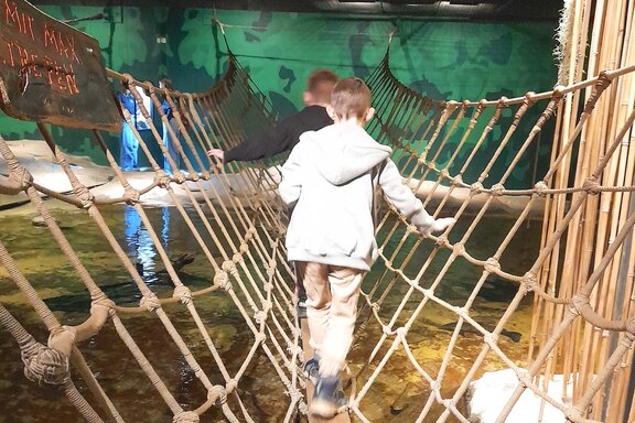 Auf Erkundungstour im Sea Life