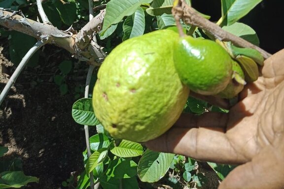 Impressionen aus der Arbeit in Brasilien