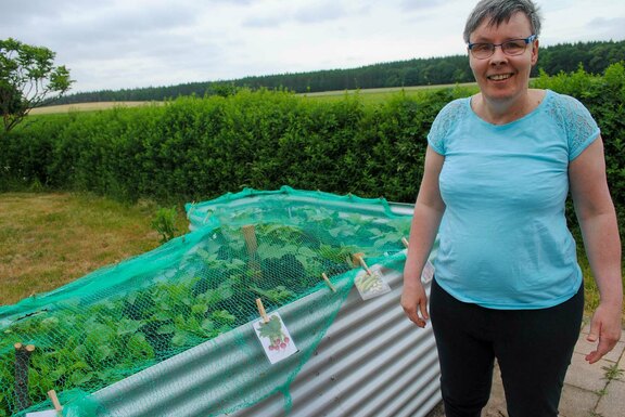 Impressionen vom Hochbeet