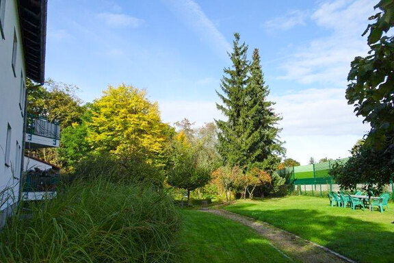 Blick in den grünen Garten