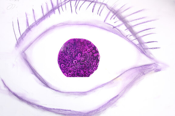 Impressionen Fotoprojekt