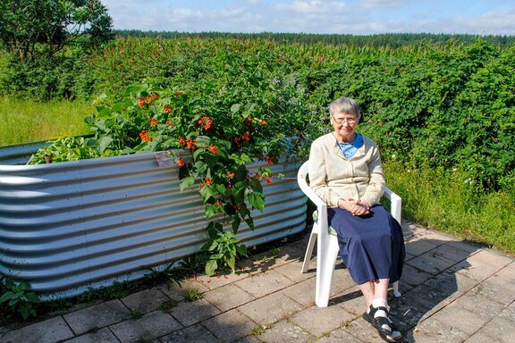 Impressionen vom Hochbeet