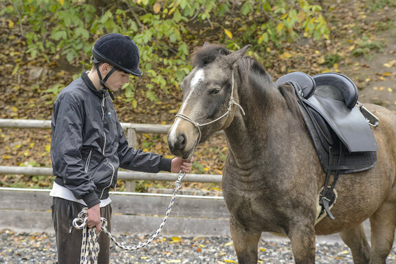 Auch die Pflege und der richtige Umgang mit den Pferden gehörten zum Programm