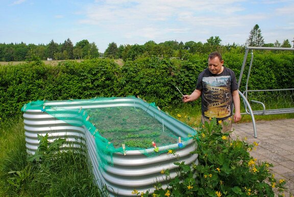 Impressionen vom Hochbeet