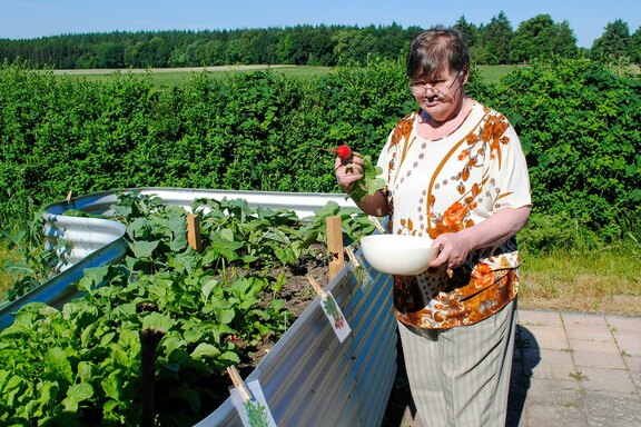 Impressionen vom Hochbeet