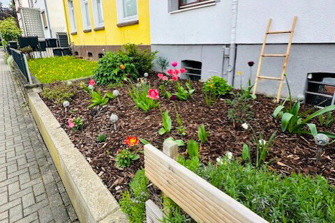 Der Vorgarten mit bunten Farbtupfern Der Vorgarten mit bunten Farbtupfern
