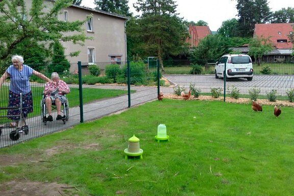 Für das Gehege wurde ein Rasen angelegt Für das Gehege wurde ein Rasen angelegt