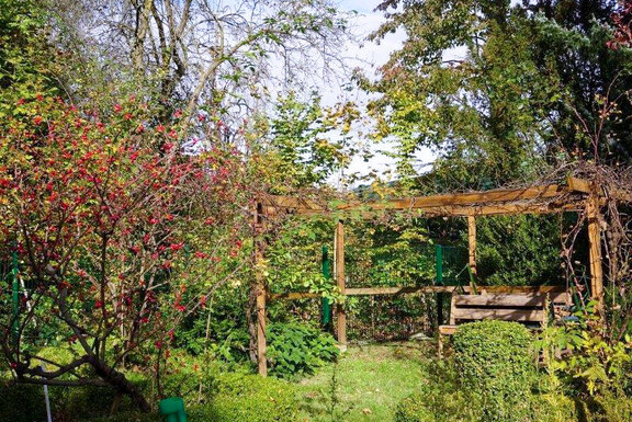 Impressionen aus dem Garten: die Gartenlaube