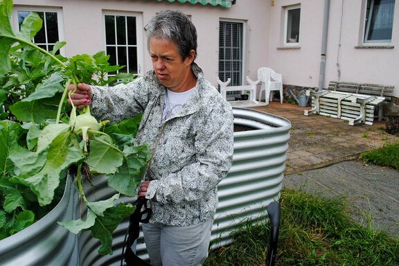 Impressionen vom Hochbeet