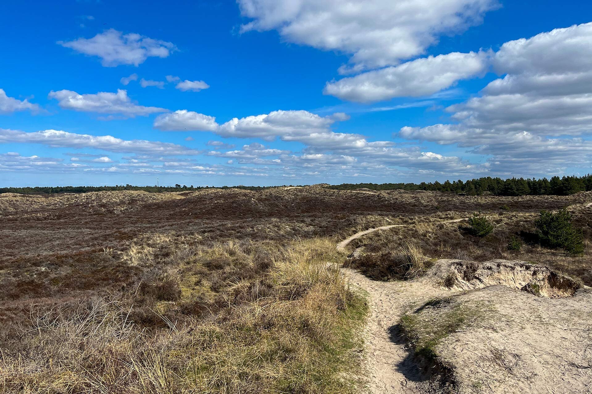 Statt ins norwegische Sætre ging die Reise auf die dänische Insel Rømø