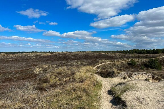 Statt ins norwegische Sætre ging die Reise auf die dänische Insel Rømø Statt ins norwegische Sætre ging die Reise auf die dänische Insel Rømø