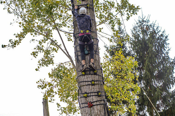 In Rekordzeit wurden Bäume erklettert