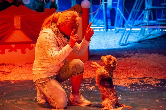 Rebecca Trumpf bei ihrer Hundedressur-Nummer Rebecca Trumpf bei ihrer Hundedressur-Nummer