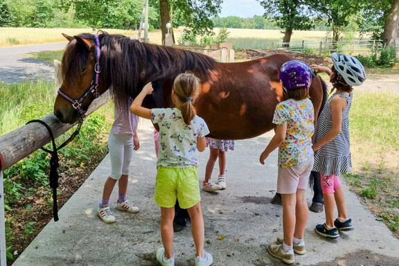 Die Freizeit wird abwechslungsreich gestaltet; auch der Umgang mit Tieren wird gelernt