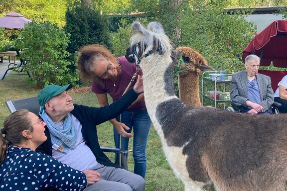 Fortano und Mandu ließen sich gerne streicheln