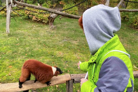 Die Kinder konnten die Tiere hautnah erleben  