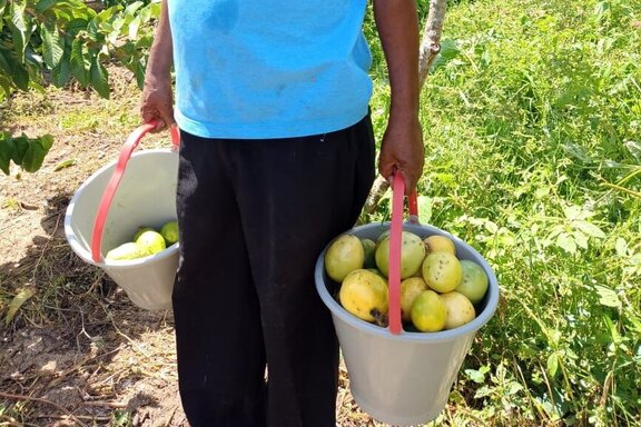 Impressionen aus der Arbeit in Brasilien