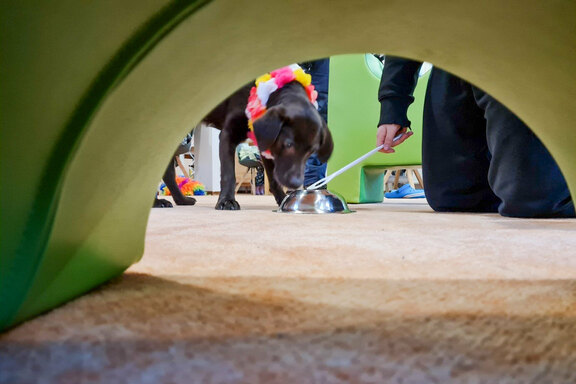 Auch ein Hindernisparcours war dabei