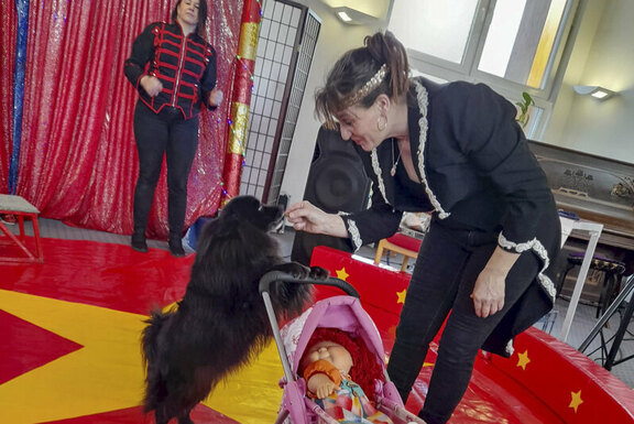 Clownereien und Zirkusspaß