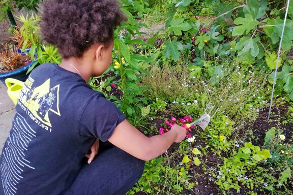 Zum neuen Haus gehört ein schöner Garten