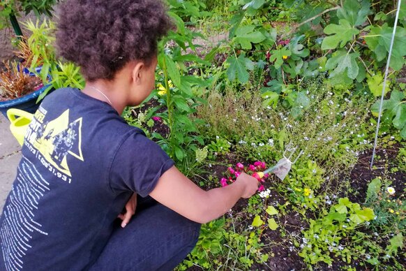 Zum neuen Haus gehört ein schöner Garten Zum neuen Haus gehört ein schöner Garten