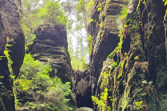 Naturimpressionen Naturimpressionen