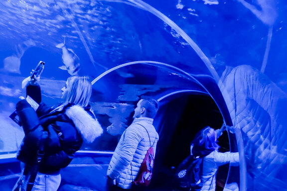 Tolle Eindrücke im AquaDom und SEA LIFE Tolle Eindrücke im AquaDom und SEA LIFE