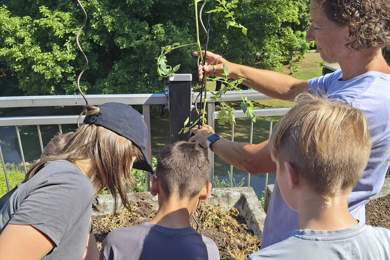 Impressionen vom Projekt