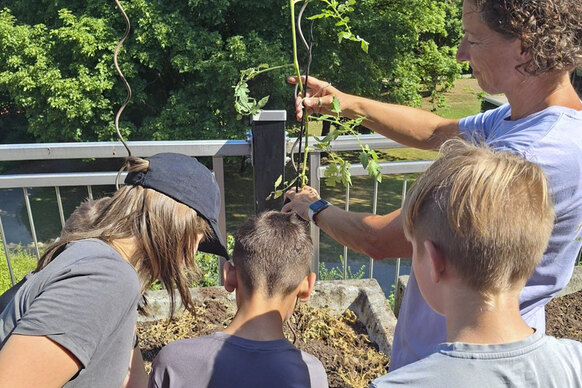 Impressionen vom Projekt